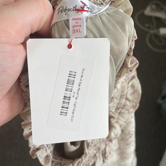 NWOT perfectlyPriscilla boutique sz 22/24 Give Me A Sign Floral Top - Light Sage - Picture 8 of 8